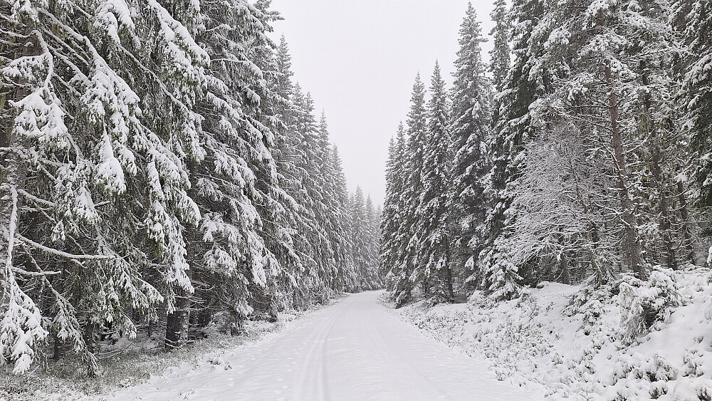 Grått, vått og flott :-)