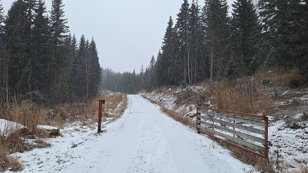 Parkerte der fv 1662 slutter i en snuplass. Mye is under snøen innover skogsbilveien.