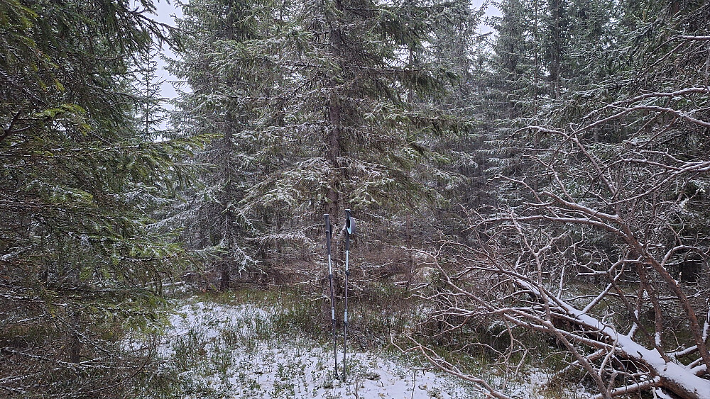 Møkkelåsens høyeste punkt. 