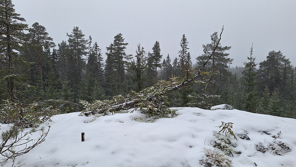 Trig. punkt Møkkelåsen med mulig utsikt på en godværsdag.