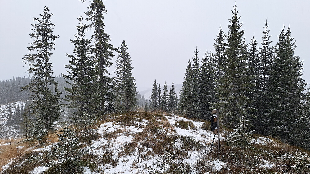 Aner meg at utsikten er bra her også på en bedre værdag.