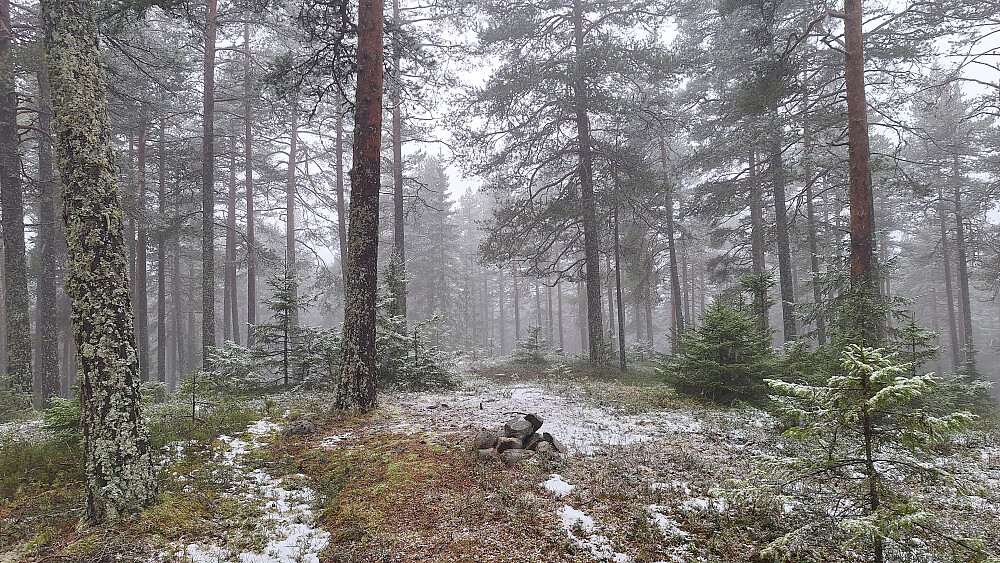 Regn - sludd - snø.