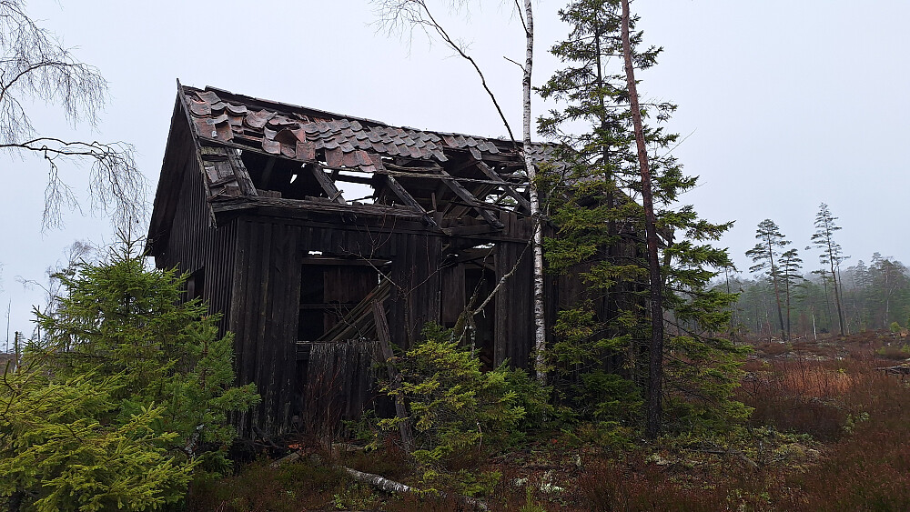 God lufting her. Ved Horntjern.