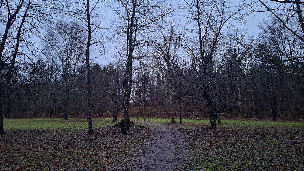 Fine stier der det ikke var vasstrukkent.