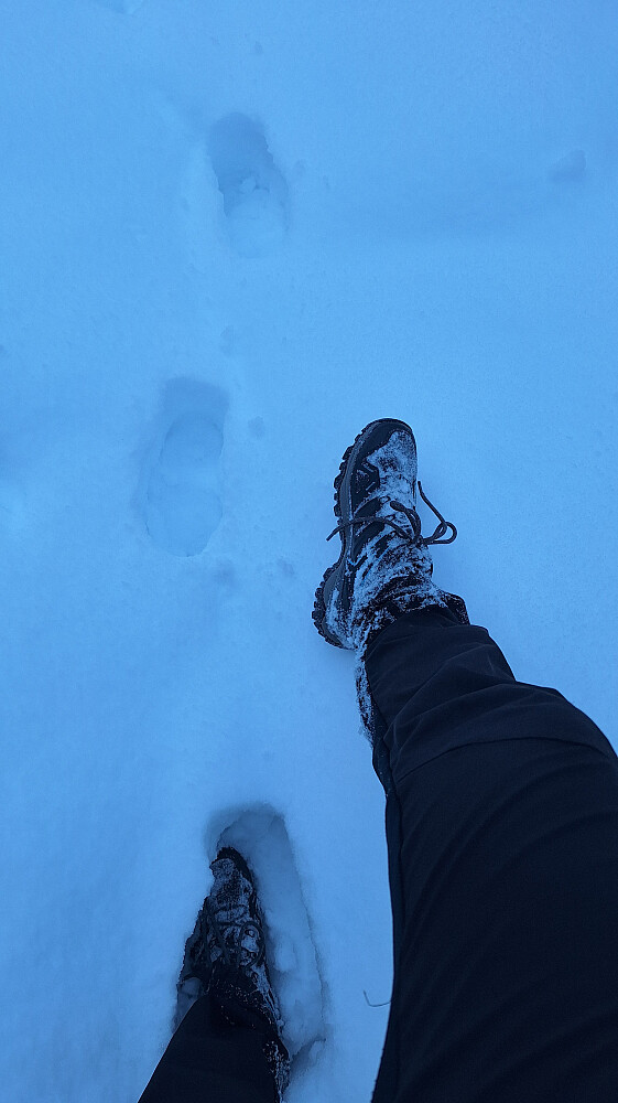 Skorpesnø med gjennomslag.