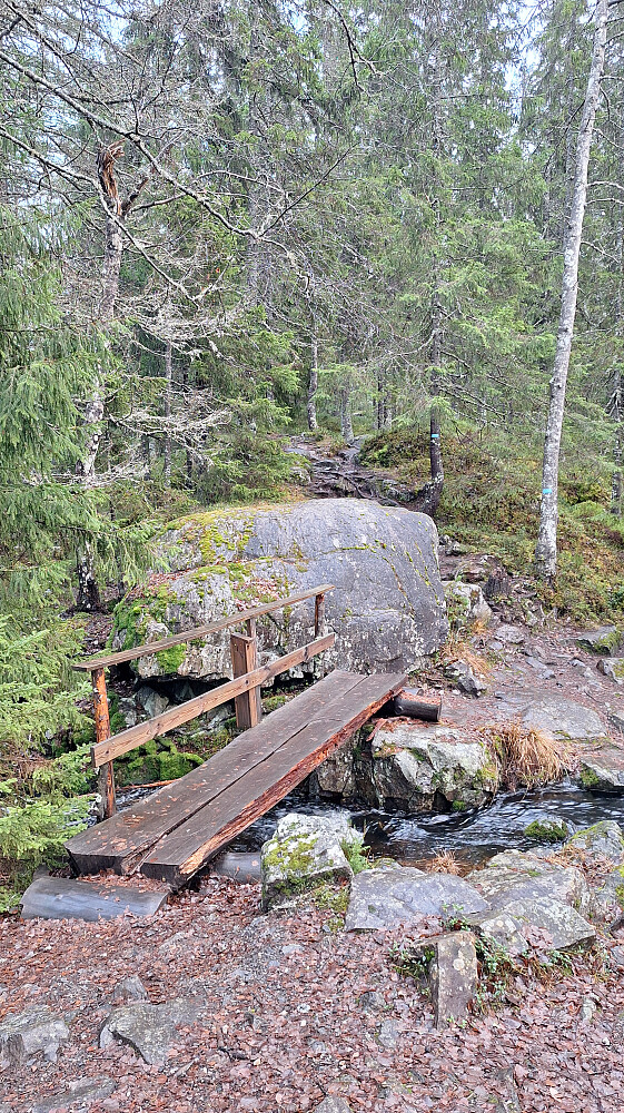 Utløpet av Tonevannet.