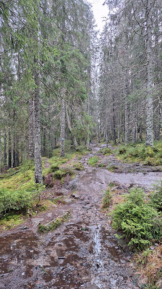 Fine stier, bare litt vått :-)