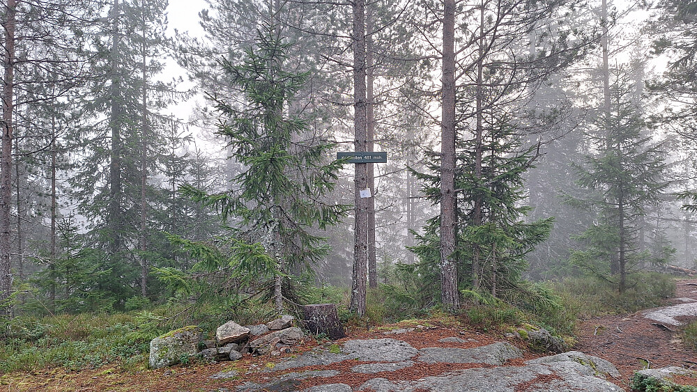 Det var hull i tåkehavet litt lengre ned, men ikke her. 
