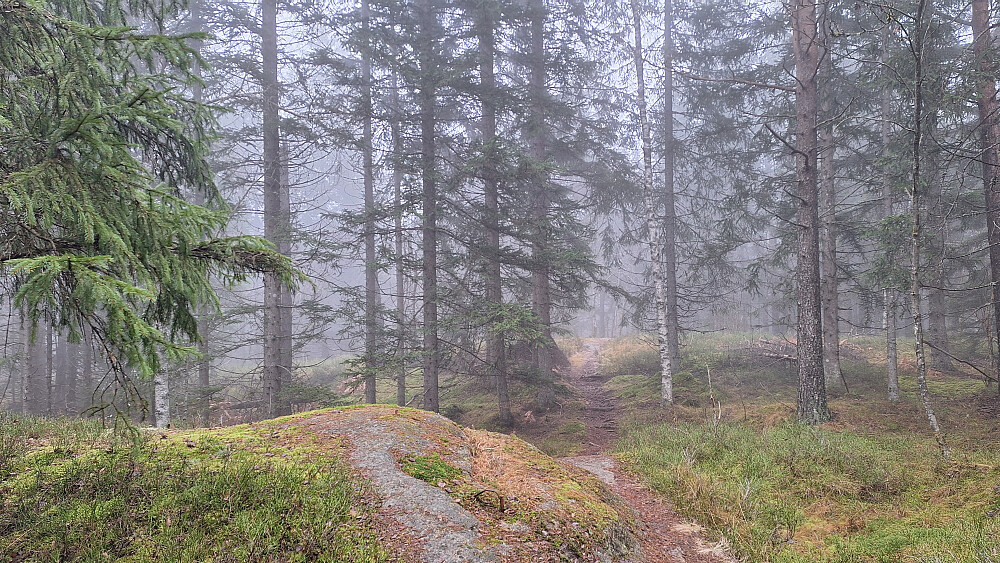 Stien går rett over Brennåsen.