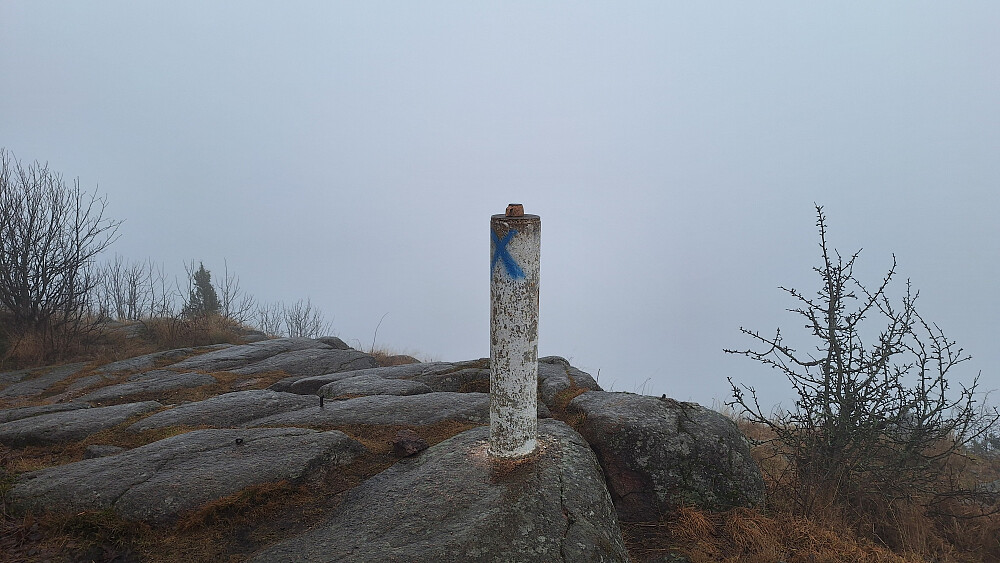 Visstnok fin utsikt på Skaugumsåsen.
