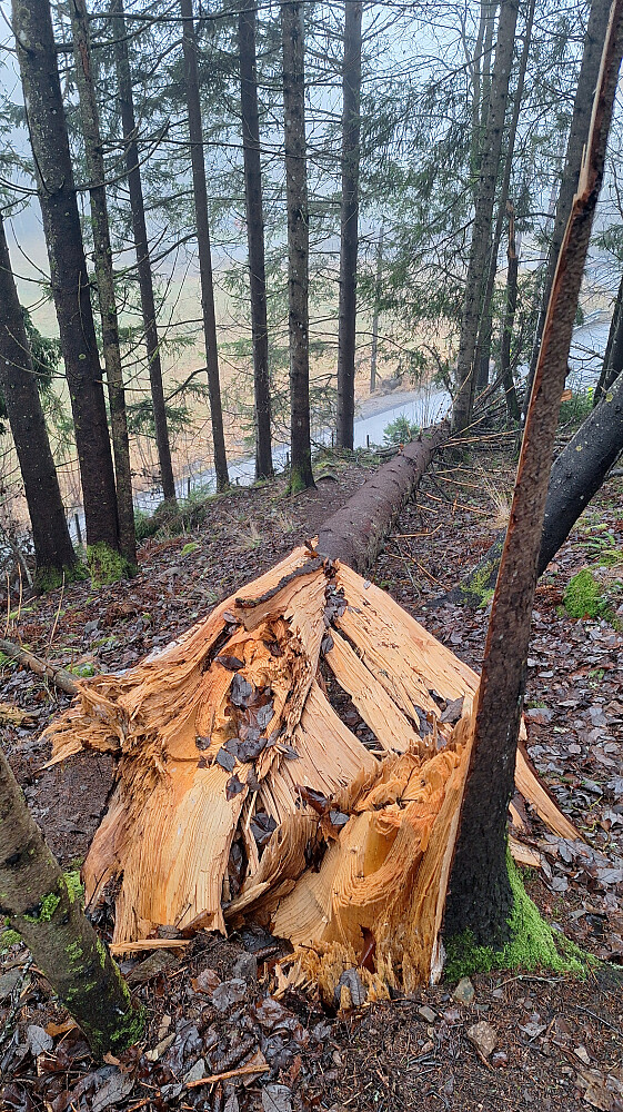 Like etter turstart, voldsomme krefter.