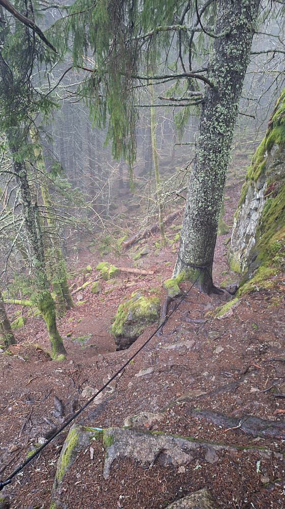 Mange bratte kneiker i Askerskogen.