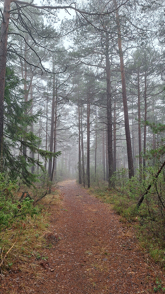 God sti, og tidvis litt mindre enn vasstrukken. 