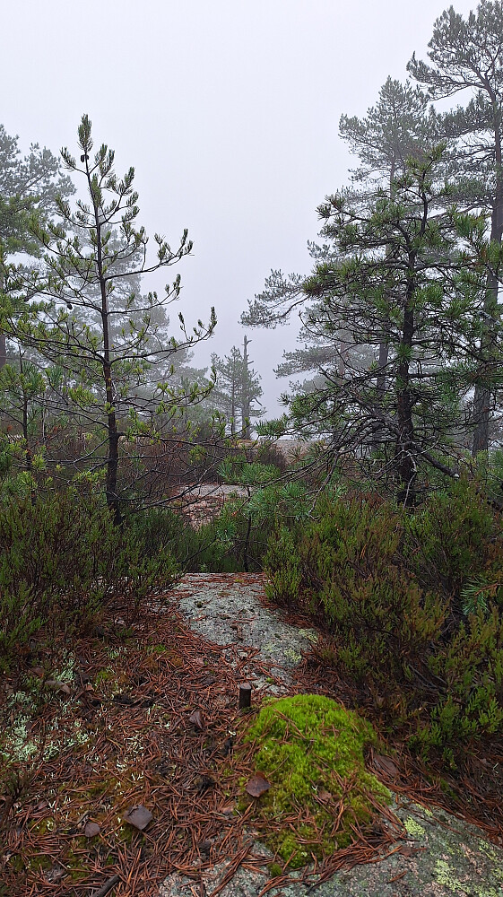 Delåsen trig. punkt.