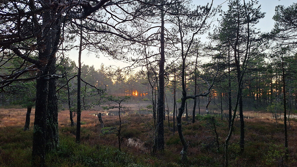 Tjernet ved Århaneåsen.