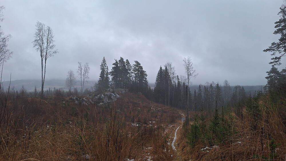 Vindfullt og vått, men mildt og fint.