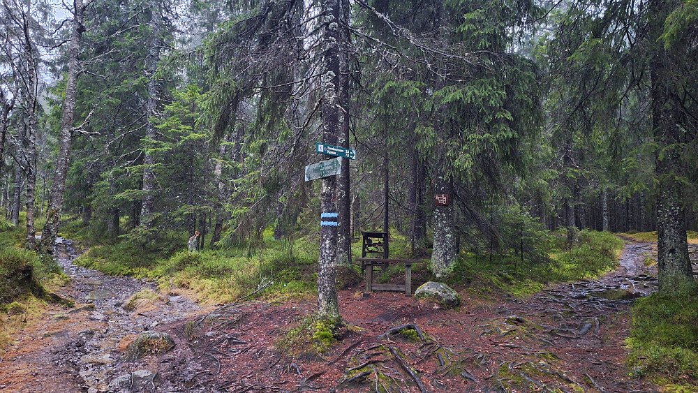 Mange kryss, god merking.