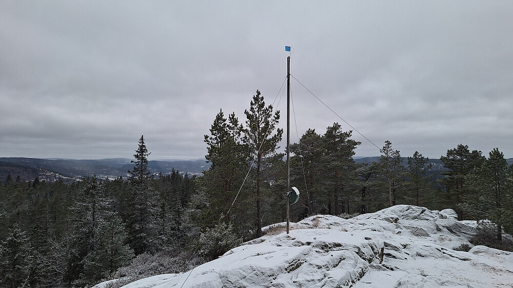 Ingen spor, så det tynne snølaget må ha kommet i natt.