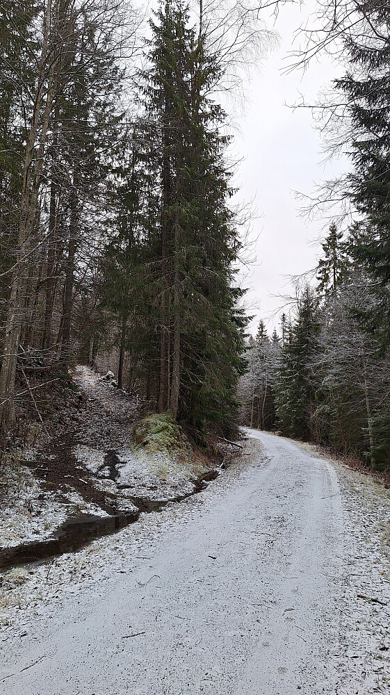 Et stykke etter Haugen tok jeg opp til venstre her. 