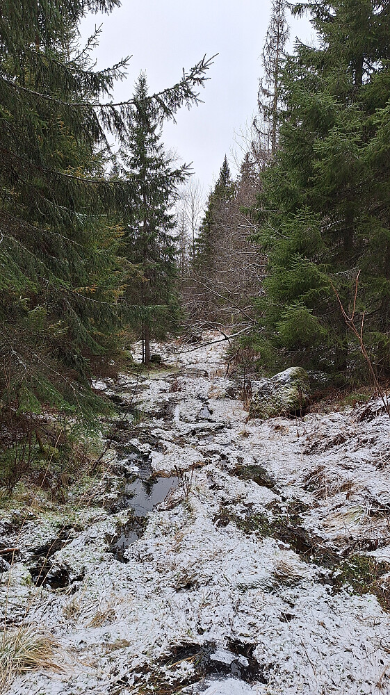 Blanding av vann og tele.