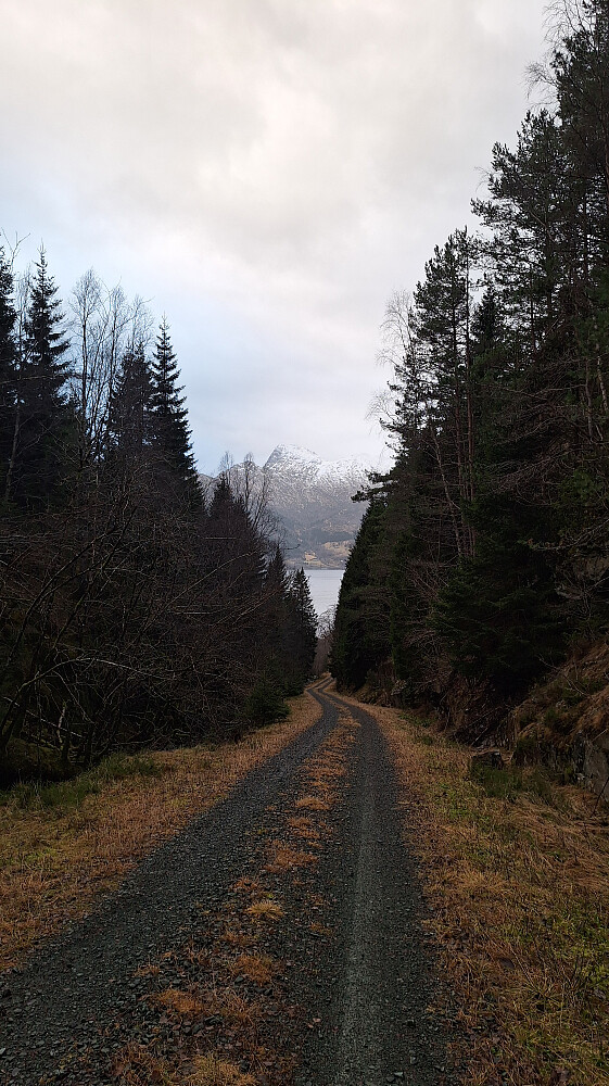 Oppover Småtausedalen.