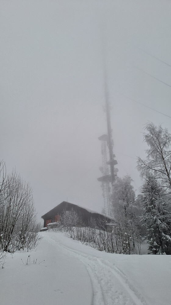 Scooterspor fra bommen. 