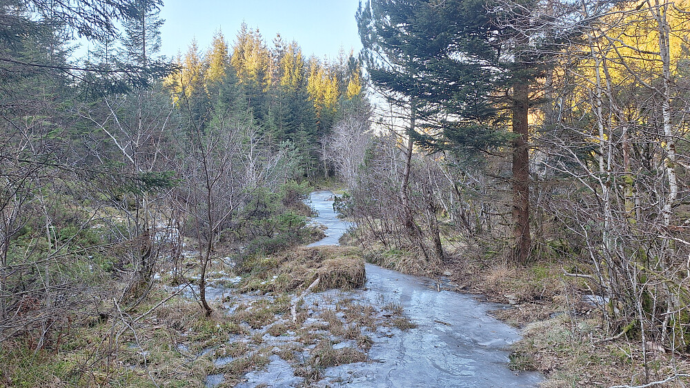 Glatt moro (på flatmark iallfall).