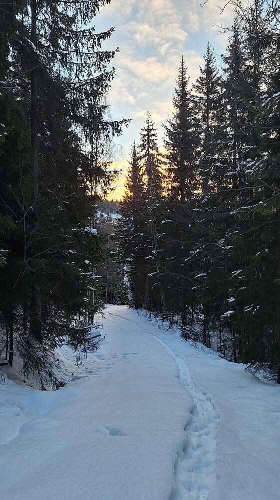 Endelig noe annet enn grå himmel og snøbyger.