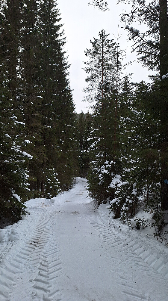 Ved Storsvea blir til og med skogen brøytet i vinter :-)