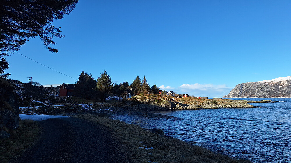Nesje med tre bolighus.