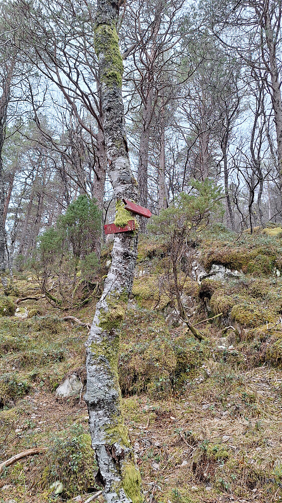 Innimellom tydelig merking.