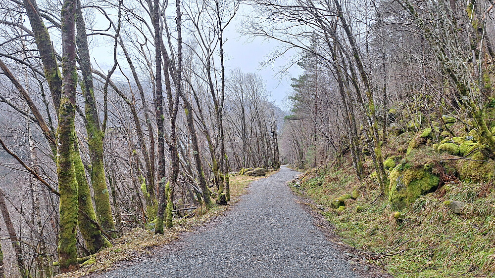 Nesten som å gå i en park.