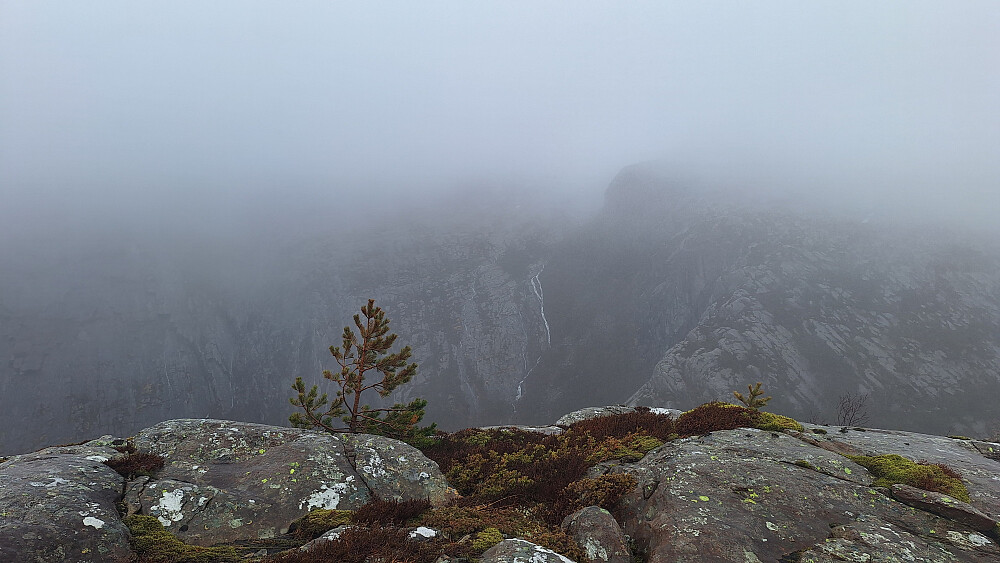 Alhaugen i regn og vind.