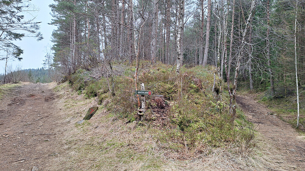 Et virvar av stier i alle utgaver, også nydelige flytstier.