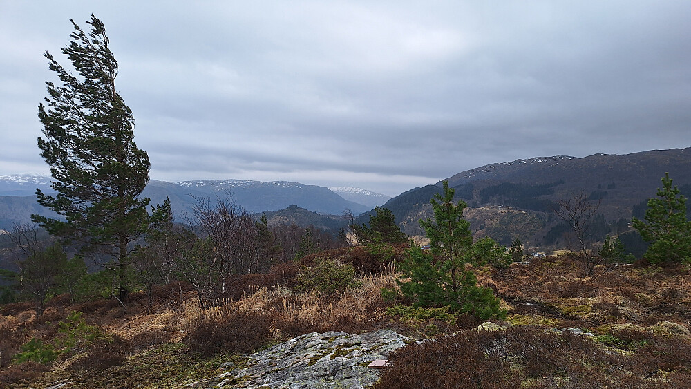 Kraftig vind på toppen. 