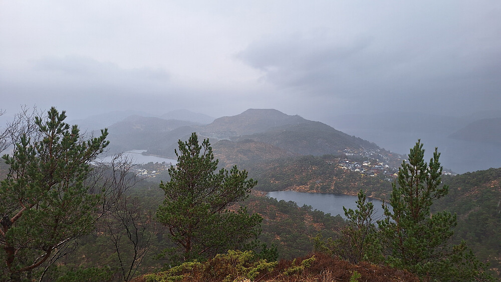 Litt utsikt i høljregnet.