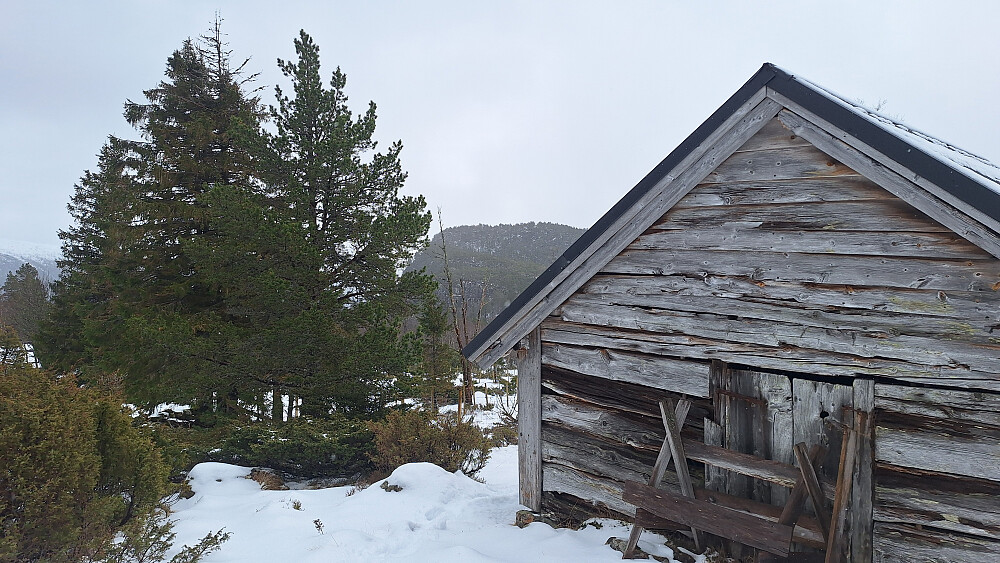 Risesætra med Knoltrene bak.