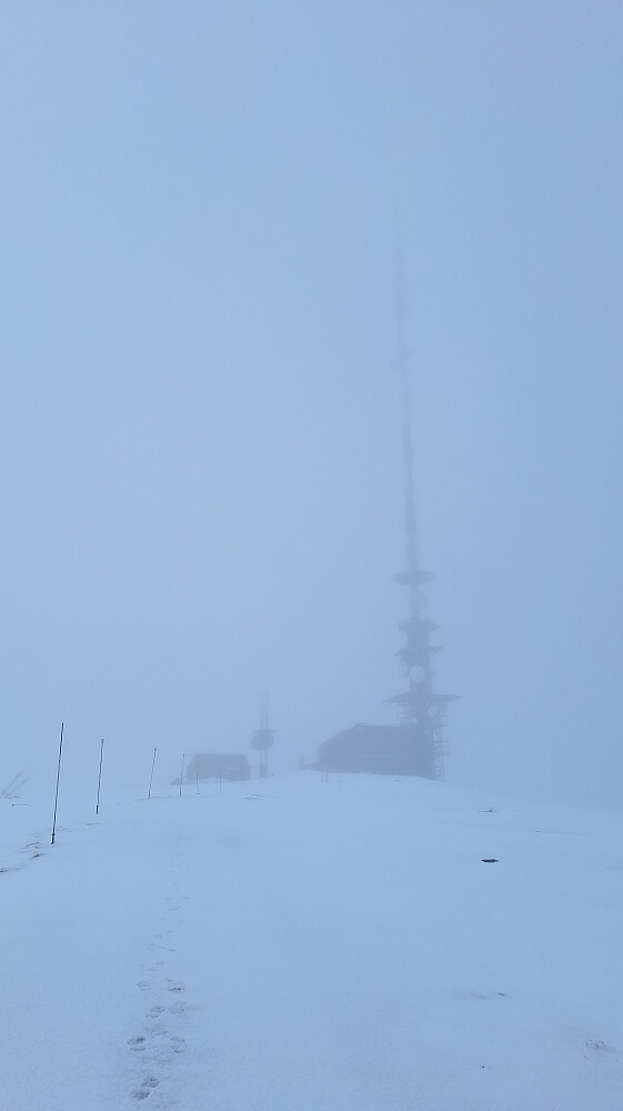 Whiteout siste biten opp.