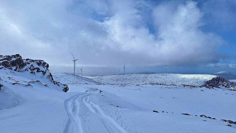 Beltespor fra siste kryss.