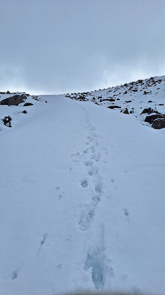 Nedover igjen på ubrøytet vei.
