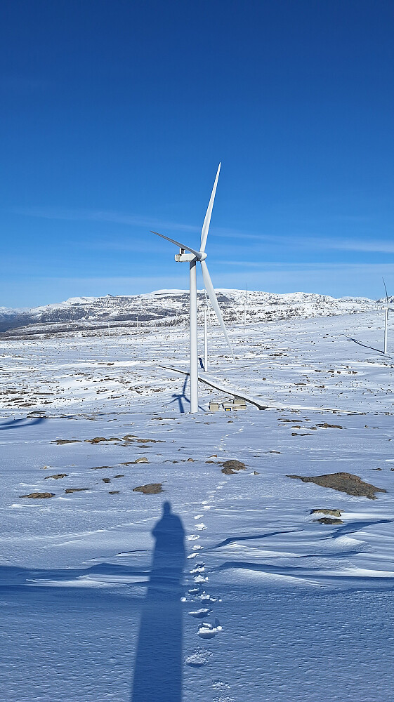 Fin snø å gå på etter nattas kulde.