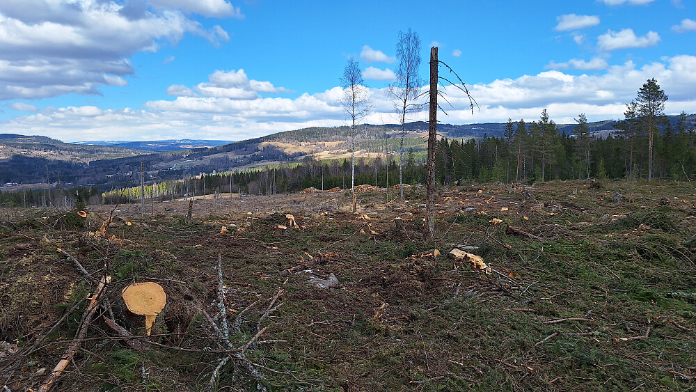 Opprydding etter fjorhøstens kraftige vind.