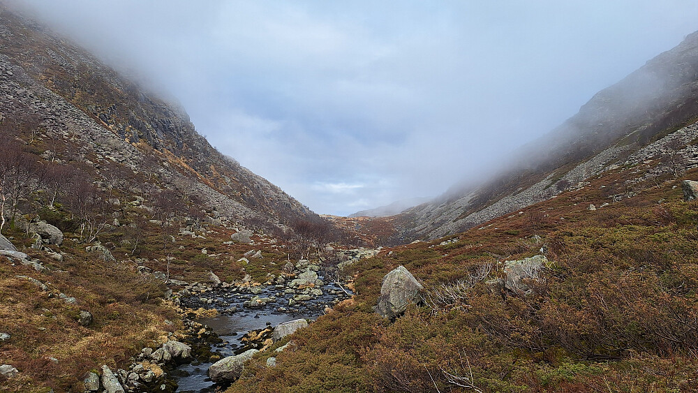 Mørkedalen flater ut.
