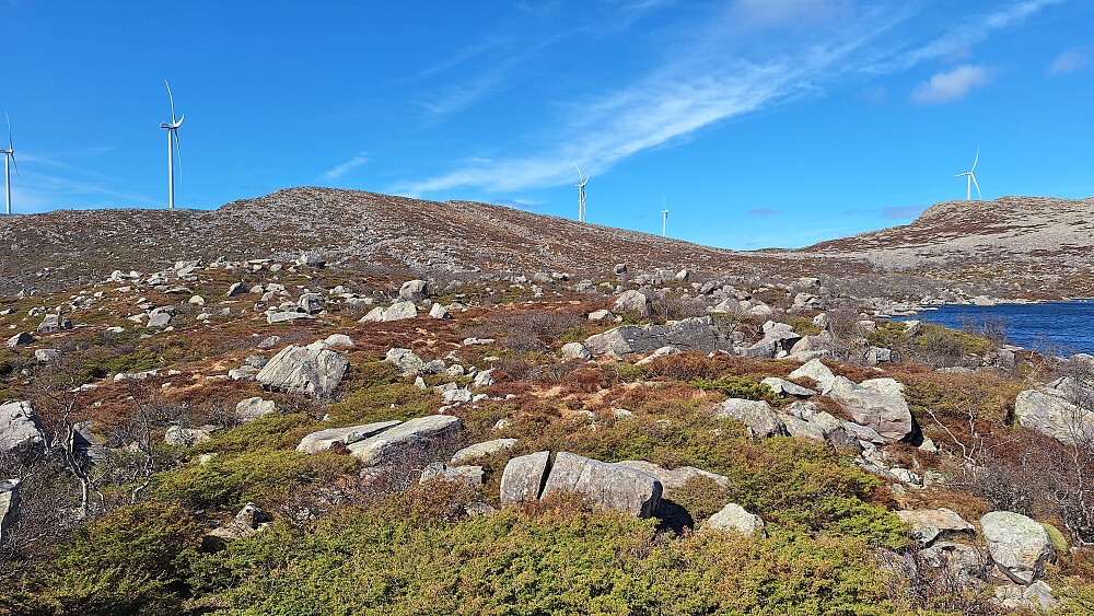 Fant en slags sti her og der i knotete terreng langs Aurbekkvatnet. 