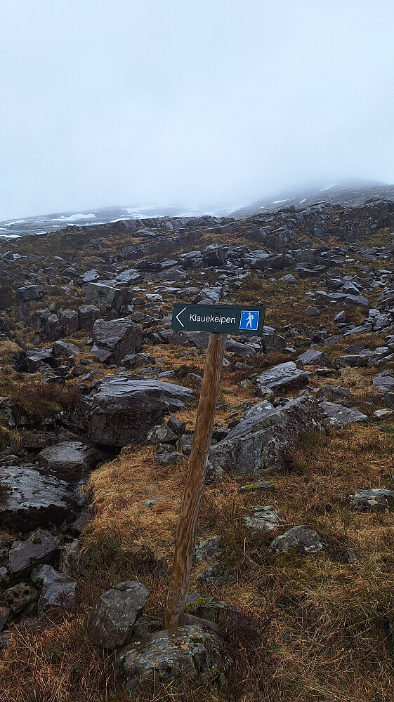 Nedover på en mindre brukt sti i Dyrelia. Toppen bak. 