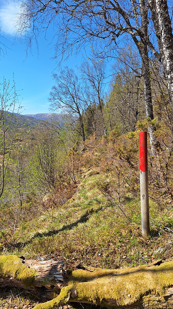 Sti til Steindalsstøylen.