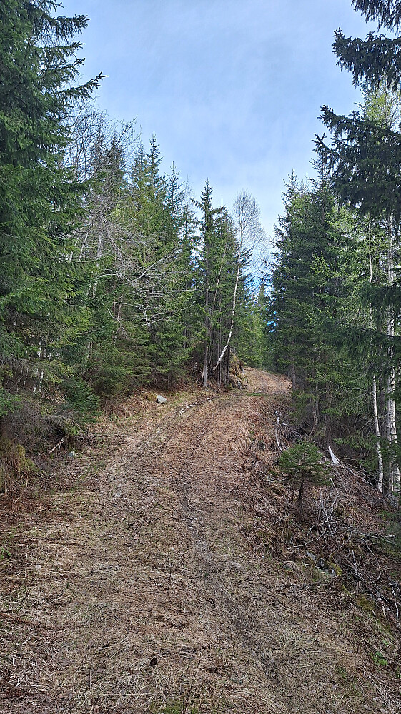 Fin sti til trig. punktet, derfra 100 meter i lyngen til toppen. 