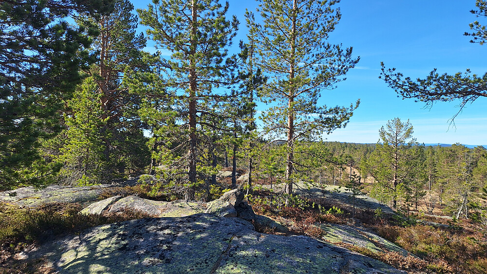 Heståsfjellet.