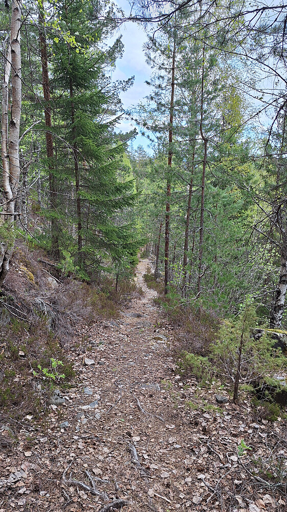 Fin gammel sti langs elva. 