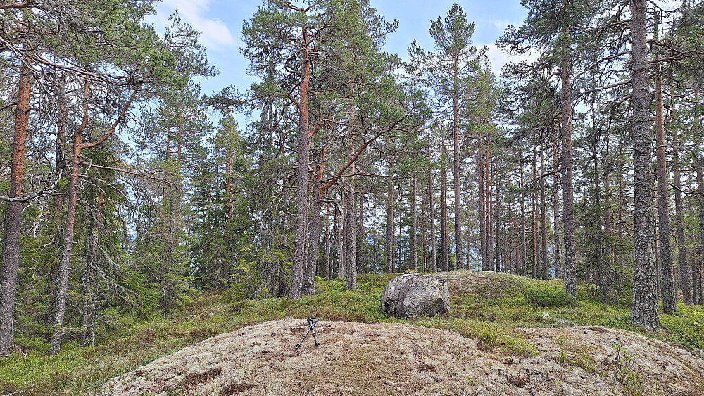 Svartskurdåsen.